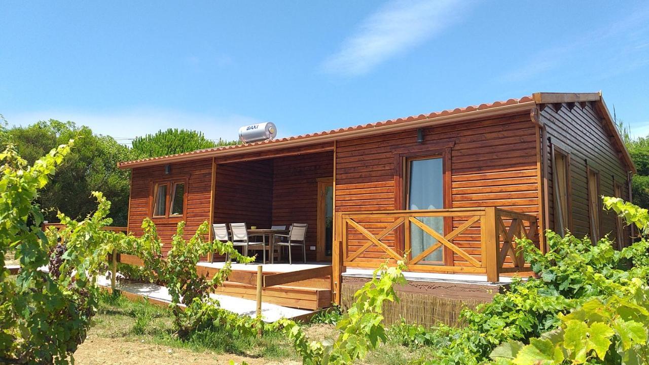 Casa Entre Praias Фош-ду-Арелью Экстерьер фото